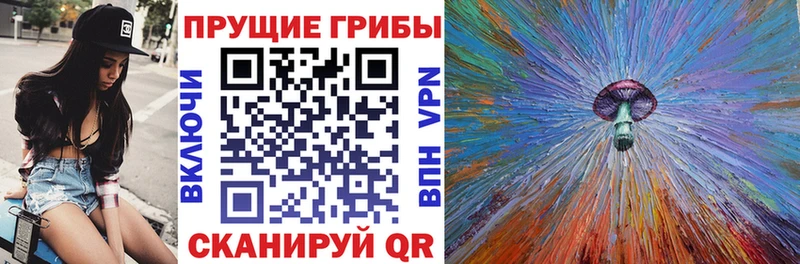 OMG зеркало  Велиж  Галлюциногенные грибы Psilocybe 