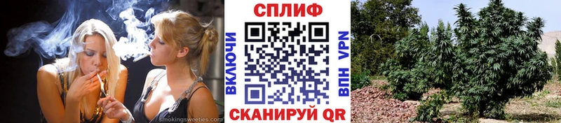 Каннабис THC 21%  Велиж 